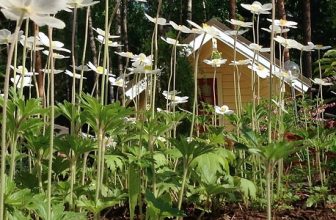 Praktische tips voor het kiezen van de perfecte tuinoverkapping