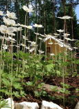 Praktische tips voor het kiezen van de perfecte tuinoverkapping